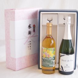 実りの秋の贈り物 感謝の贈り物ボックス 沖縄産パイナップル辛口白ワインと国産ワインセット(MdV オアシス3 白スパークリングワイン辛口(長野県)750mlラグリマ・デル・ソル辛口白ワイン 720ml