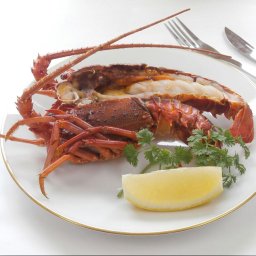 お歳暮 冷凍伊勢海老ハーフカット 食品 ギフト プレゼント 贈答 熨斗 のし 贈り物 記念日 お祝い 冠婚葬祭 内祝 御祝 御見舞 快気祝 御仏前 志 お供 御歳暮 御中元(代引不可)【送料無料】