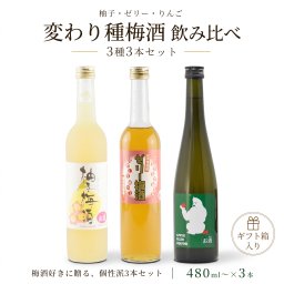 フルーツ梅酒 飲み比べ 3本セット ゼリー梅酒 柚子梅酒 りんご梅酒