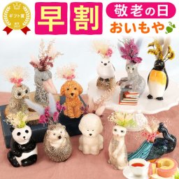 ＼早割！9/8の16時まで／ 敬老の日 誕生日 プレゼント 夏ギフト ギフト 花セット ドライフラワー ミニブーケ フラワーギフト 花とお菓子 フラワーベース 花 動物 アニマル グッズ キャラクター かわいい おしゃれ インテリア 雑貨 一輪挿し 花瓶 ペン立て 実用的 送料無料 スイーツ お菓子 洋菓子 ギフトセット 母 実母  40代 50代 60代 70代 おいもや