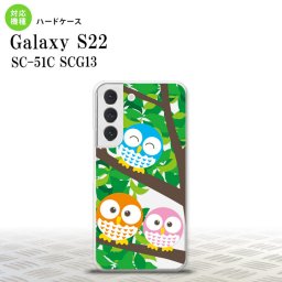 SC-51C SCG13 Galaxy S22 スマホケース 背面ケース ハードケース フクロウ B 緑 メンズ レディース nk-s22-1093