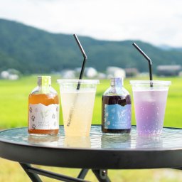 鈴木農場 ノウカコーラ 飲み比べセット 2種詰め合わせ クラフトコーラ 希釈タイプ コーラシロップ
