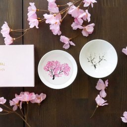 冷感桜 平盃ペアセット 食器 おしゃれ グラス 磁器 日本製 きれい 酒器 かわいい 平盃 色が変わる 桜柄