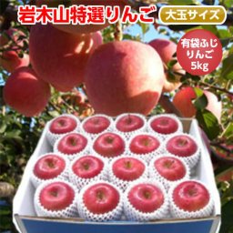 《7月末最終発送》【送料無料】初夏に美味しい低温冷蔵りんご（CA）青森りんご 岩木山特選有袋ふじ 5kg 14-16玉前後 ≪特選大玉 贈答用 安心のクール便発送 パリパリりんご！≫