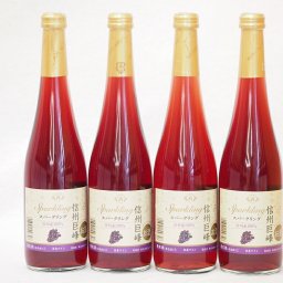 信州巨峰 スパークリングワインセット 信州産100% やや甘口(長野県)500ml×4