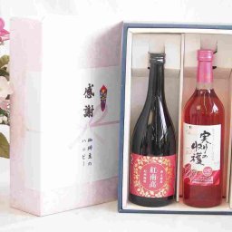 実りの秋の贈り物 感謝の贈り物ボックス 香る南高梅酒 紅南高と国産ワインセット(実りの収穫 ロゼワイン やや甘口(山梨県)720ml紅南高 紀州梅酒(和歌山県)720ml