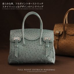 フルポイント オーストリッチ ハンドバッグ/レディース a4 対応 通勤バッグ A4 バッグ ハンドバッグ 女性 バッグ ビジネス 通勤 A4 女性 プレゼント ギフト(06000082r) クリスマス 母の日 定年退職 バレンタイン 成人祝い