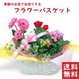 季節の花鉢 寄植え 寄せ植えアレンジ 鉢 ガーデニング 鉢植え ギフト おしゃれ 誕生日 プレゼント 母 祖母 フワラーギフト 女性 お花 お誕生日 結婚祝い 新築祝い 友人 結婚記念日 妻 両親 開店祝い 開業祝い 退職祝い 