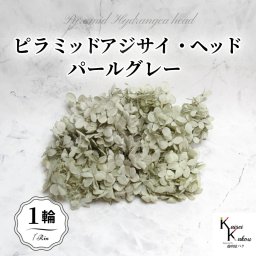 メール便で発送 大地農園！プリザーブドフラワー 「ソフトピラミッドアジサイ パールグレー 1輪分」 プリザ アジサイ 紫陽花 花材 ハーバリウム おしゃれ かわいい プレゼント 贈り物 オオチノウエン ソフトピラミッドアジサイ・ヘッド