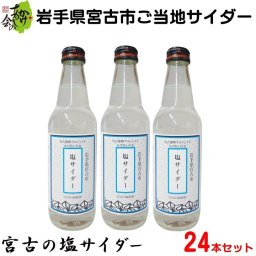 岩手県宮古市 ご当地サイダー 宮古の塩サイダー 24本セット 340ml×24本 地サイダー 送料無料