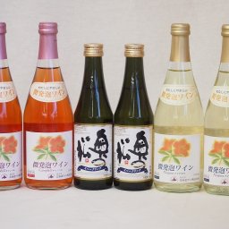 スパークリング日本酒×スパークリングワイン(奥の松純米大吟醸290ml2本 北海道おたるナイアガラ500ml白2本ロゼ2本)計6本