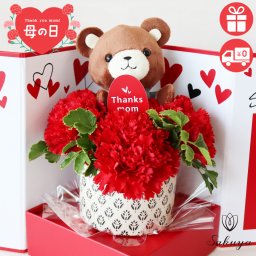 母の日カーネーション プレゼント ギフト 花 アレンジ くまちゃん ボックス おすすめ 喜ばれる 笑顔   選べる楽しさ かわいさ満点
