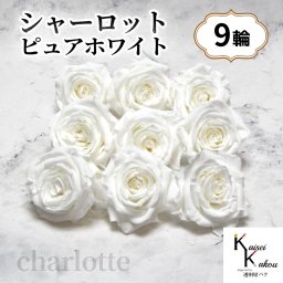 大地農園！プリザーブドフラワー 「シャーロット 9輪 ピュアホワイト」 プリザ 花材 ハーバリウム おしゃれ 白 バラ かわいい プレゼント 贈り物　オオチノウエン