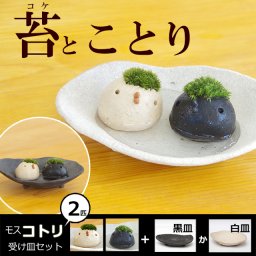 モスモスシリーズ 作家 真山茜氏【モスコトリ２匹・受け皿セット】