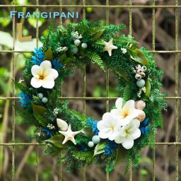 Frangipani-L / プルメリアの誘惑-L　　サマーリース/ハワイアンリース/西海岸/サーフ/フラ/夏リース/貝殻/ヒトデ/シェルリース/ハワイ/ウェディング/ブライダル/ウェルカムリース/玄関