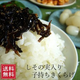 子持ちきくらげ 210g×２袋メール便 送料無料 佃煮 お試し なまため 祝 ギフト 茶漬け 骨粗しょう症 キクラゲ お茶漬け    あさイチ5298お歳暮 母の日
