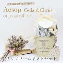 イソップ リップトリートメント ギフトセット ハンドタオル エプソムソルト入り ラッピング対応 女性 誕生日 プレゼント 人気
