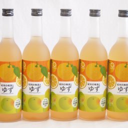 ゆず梅 酒和歌山県産南高梅使用 紀州の梅酒とゆずalc.12%　720ｍｌ×5本