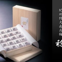 紀州特大南高梅　稔