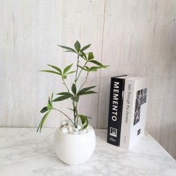 人工観葉植物　パキラテーブルグリーン　パキラ　触媒加工品