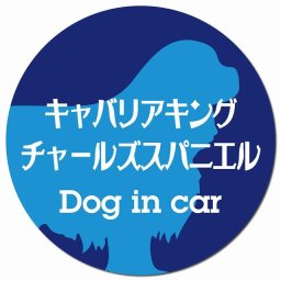 Dog in car キャバリアキングチャールズスパニエル レトロ書体 ブルー カーサイン 車 マグネットステッカー 犬 マグネット 強力 直径13cm 丸型 おしゃれ かわいい ドラレコステッカー 安全対策 危険運転 煽り運転 アニマル 動物 犬種別 屋外 防水 屋内