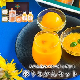 敬老の日 誕生日 詰め合わせ ジュース ジャム スムージー みかん 一人暮らし 早和果樹園 和歌山 有田 彩りみかんセット ゼリー 果物 ジュース プレゼント 
