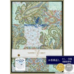ヴァレンティノ・クリスティー ウォッシャブル羽毛肌掛けふとん VCF-108