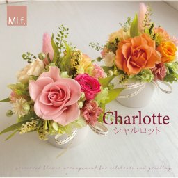 ☆シャルロット☆　プリザーブドフラワー　バラ　母の日　誕生日　お祝い