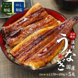 【送料無料・高級ギフト】国産(鹿児島・宮崎産)うなぎ長蒲焼き(160g～170g)×5尾セット 訳あり品 タレ・山椒つき（鰻 お年賀 敬老の日 お中元 お歳暮 プレゼント グルメ 贈り物 母の日 父の日 御祝 内祝い もらって嬉しい ご褒美 誕生日 お祝い 出産祝い お返し 結婚 男 女 友達 彼氏 彼女 義母 義父 新築 引越 送別会 定年 退職祝い 還暦 古希 銀婚）[[ウナギ長蒲焼き-5p]