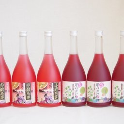 鍛高譚お楽しみ6本セット 北海道白糠町特産しそ使用 しそリキュール しそリキュール 20度 梅酒12度 720ml×6