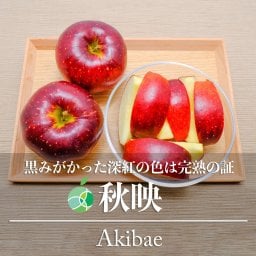 秋映　りんご　贈答用　約1.4kg　4-5玉　長野県産　ハロウィン　フルーツ　ギフト
