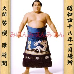 琴櫻傑将関　優勝ミニ額 大相撲ミニ額 大相撲優勝額　昭和４８年１月場所 優勝 大関 琴櫻傑将関（４回目の優勝） ※受注生産品のため、ご注文後はいかなる理由でも返品、返金はできません
