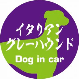 Dog in car ドッグインカー ステッカー カーステッカー イタリアングレーハウンド 毛筆書体 パープルグリーン シール 煽り運転対策 カーサイン