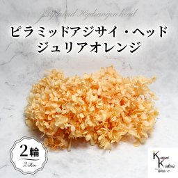 宅急便で発送 大地農園！プリザーブドフラワー 「ソフトピラミッドアジサイ ジュリアオレンジ 2輪分」 プリザ アジサイ 紫陽花 花材 ハーバリウム おしゃれ かわいい プレゼント 贈り物 オオチノウエン ソフトピラミッドアジサイ・ヘッド