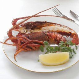 敬老の日 徳島 「吟月」 天然冷凍伊勢海老(2尾) 食品 ギフト プレゼント 贈答 熨斗 のし 贈り物 記念日 お祝い 冠婚葬祭 内祝 御祝 無地 出産内祝 結婚内祝 御見舞 快気祝 御仏前 志 お供(代引不可)【送料無料】