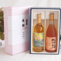 実りの秋の贈り物 感謝の贈り物ボックス 沖縄産パイナップル辛口白ワインと国産ワインセット(おたる醸造 旅路orange 白ワイン やや辛口(北海道)720mlラグリマ・デル・ソル辛口白ワイン 720ml
