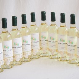 10本セット(格上フランス5冠金賞受賞 白ワイン テールオセアン) 750ml×10本