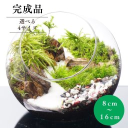 【完成品】ボトルテラリウム 苔テラリウム 和風 砂利 観葉植物 苔盆景 テラリウム 気孔石 プレゼント 父の日 新築祝い 苔 おしゃれ 贈り物 インテリア グリーン ギフト