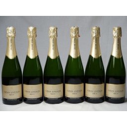 ワインセット スパークリングワイン辛口6本セット ハウメ・セラ ブリュット スペインスパークリングワイン750ml×6本