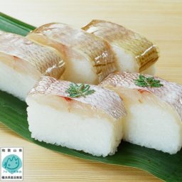 棒寿司－小鯛（こだい）