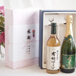 実りの秋の贈り物 感謝の贈り物ボックス有機栽培100%白ワインと国産ワインセット(おたる醸造 ナイアガラス白パークリングワインやや甘口(北海道)720ml