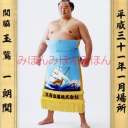 玉鷲一朗関　優勝ミニ額 大相撲ミニ額 大相撲優勝額　平成３１（２０１９）年１月場所 優勝 関脇 玉鷲一朗関（初優勝） ※受注生産品のため、ご注文後はいかなる理由でも返品、返金はできません