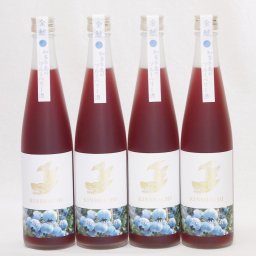 4本セット(金鯱焼酎ブレンド 知多半島のブルーベリー酒(愛知県)) 500ml×4本