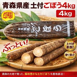 青森県産 土付き ごぼう 2L～3L 4kg