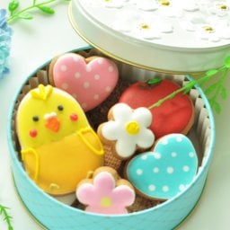★カラフルで可愛い(インコver)★アイシングクッキー＆ザクザククッキー缶