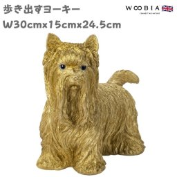 置物 歩き出すヨーキー ヨークシャーテリア ゴールド 金色 縁起物 横幅30cm woobia ウービア 大きい かわいい おしゃれ ガーデン インテリア オブジェ 可愛い プレゼント 北欧 玄関 雑貨 動物 モダン 面白い 庭 ギフト 屋外 家 リアル 玄関先 ガーデンオーナメント