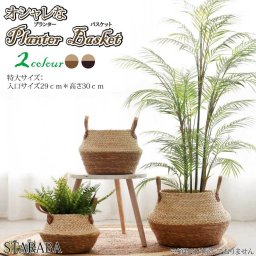 プラントバスケット 大きい 観葉植物 フラワーポット 植木鉢 花鉢 園芸 屋内 屋外 送料無料<br><br>