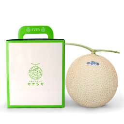 送料無料 クラウンメロン 並 白等級 特大玉 1.5kg前後 1玉入り 産地直送 静岡クラウンメロン 静岡県産 マスクメロン メロン高級フルーツ メロン専門店 お中元 贈答 お祝い プレゼント