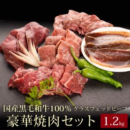 【定番人気商品 豪華焼肉セット計1.2kg】 北海道産黒毛和牛グラスフェッドビーフ 牛肉