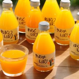 敬老の日 和歌山 伊藤農園 4種の柑橘ジュース 食品 ギフト プレゼント 贈答 熨斗 のし 贈り物 記念日 お祝い 冠婚葬祭 内祝 御祝 無地 出産内祝 結婚内祝 御見舞 快気祝 御仏前 志 お供(代引不可)【送料無料】